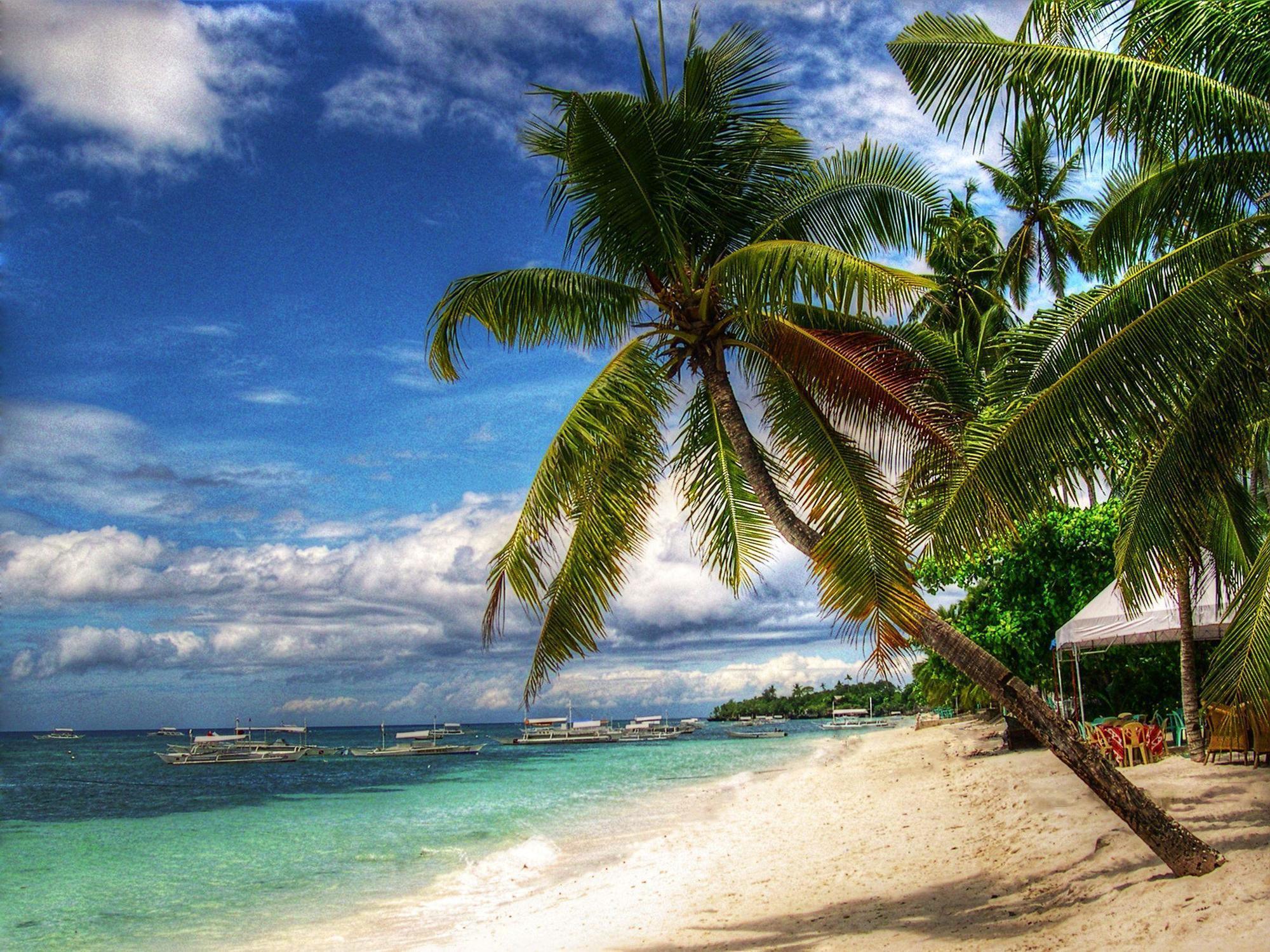Alona Hidden Dream Resort Panglao Eksteriør billede
